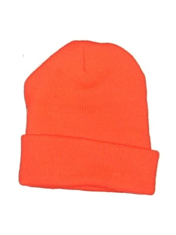Carhartt Beanie (view 2)