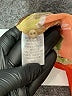 Allison Taylor 100% Polyester Tropical Orange Short Sleeve Blouse Size 2X - photo 8