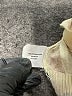 Sparrow 100% Cotton Tan Cardigan Size S - photo 5