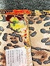 Unbranded Animal Print Brown Jumpsuit Size L - photo 4