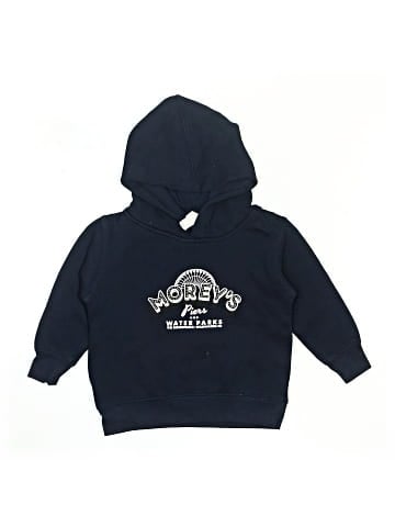 Rabbit Skins Pullover Hoodie (view 1)