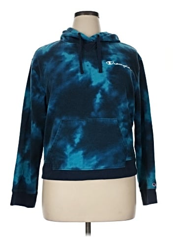 Champion Pullover Hoodie (view 1)