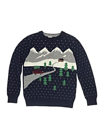 Hanna Andersson Pullover Sweater (view 1)