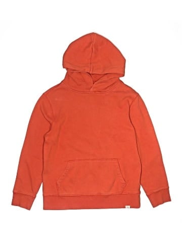 Gap Kids Pullover Hoodie (view 1)