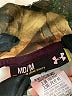 Under Armour Ivory Sweatshirt Size M - photo 7
