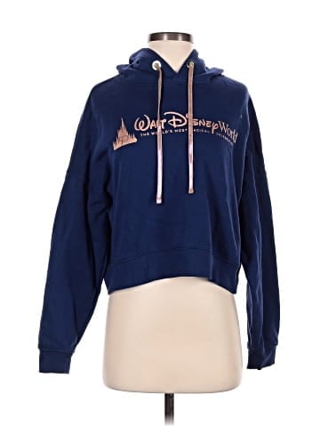 Disney Pullover Hoodie (view 1)