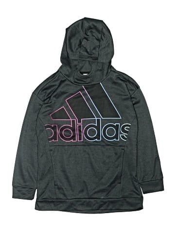Adidas Pullover Hoodie (view 1)