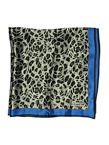 Coach Scarf (view 2)