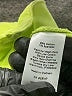 T by Talbots Green Track Jacket Size L (petite) - photo 7