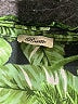 Rosette 100% Polyester Green 3/4 Sleeve Blouse Size L - photo 7