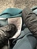 Ann Taylor LOFT Solid Teal Casual Pants Size S - photo 5