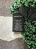 Who What Wear 100% Polyester Green Long Sleeve Blouse Size XS - photo 8