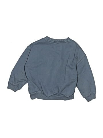 Zara Sweatshirt (view 2)