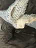 Little Eleven Paris Graphic Blue Athletic Shorts Size 10 - photo 4