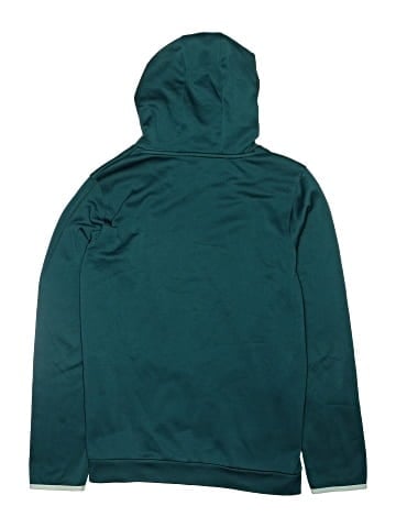 Under Armour Pullover Hoodie (view 2)