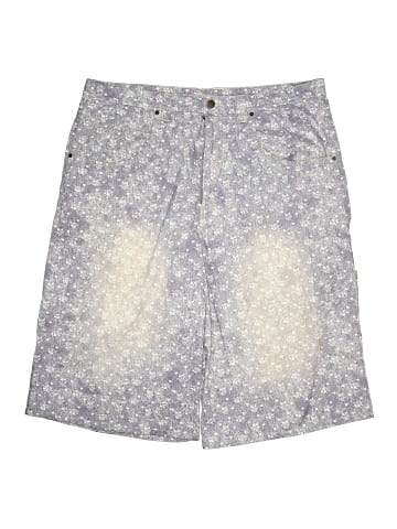 BDG Shorts (view 1)