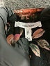 Maurices 100% Polyester Floral Black Short Sleeve Blouse Size 1X - photo 7
