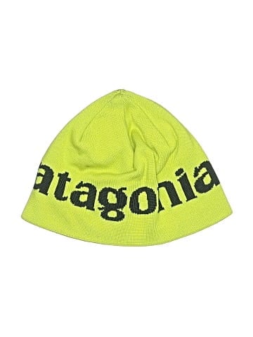 Patagonia Beanie (view 1)