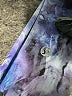 Lululemon Athletica Print Blue Active Pants Size 6 - photo 7