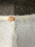 FP One 100% Nylon Ivory Cardigan Size S - photo 7