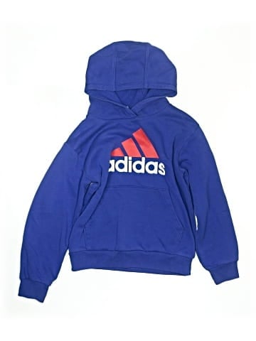 Adidas Pullover Hoodie (view 1)