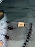 Unbranded 100% Polyester Blue Long Sleeve Polo Size S - photo 7