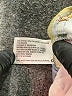 Knox Rose Blue Jeans Size 10 - photo 8