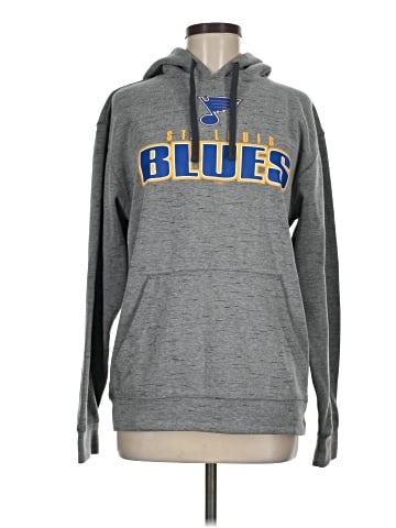 Champion Pullover Hoodie (view 1)