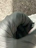 Unbranded White Casual Pants Size M - photo 7