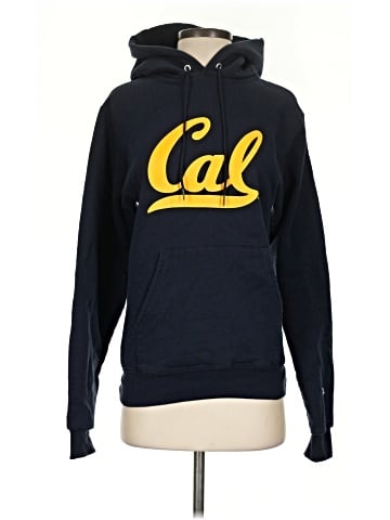 Champion Pullover Hoodie (view 1)