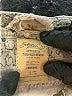 Stitch's Tan Khaki Shorts Size 31 waist - photo 3