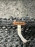 Free People Gray Pullover Sweater Size S - photo 7