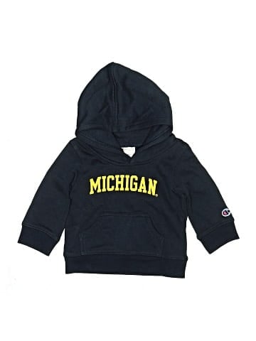Champion Pullover Hoodie (view 1)
