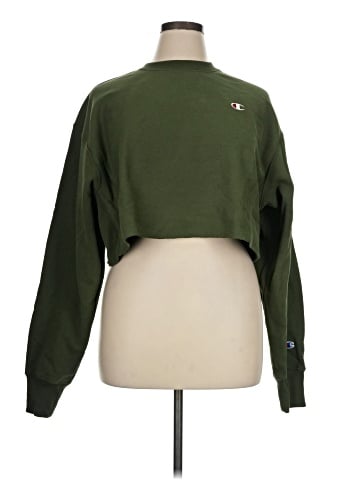 Champion Sweatshirt (view 1)