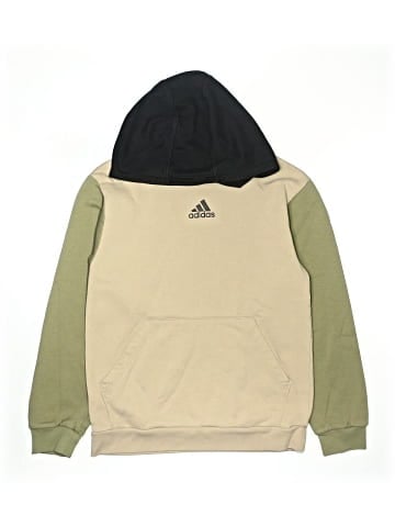 Adidas Pullover Hoodie (view 1)