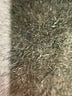 Ann Taylor LOFT Gray Jacket Size XL - photo 7
