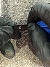 Calzedonia Blue Active Pants Size S - photo 8