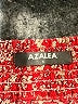 Azalea 100% Viscose Red 3/4 Sleeve Blouse Size S - photo 7