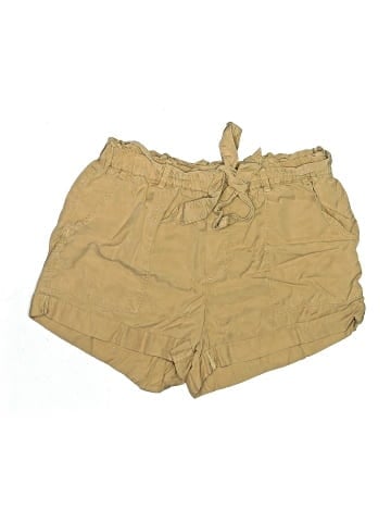 Aerie Khaki Shorts (view 1)