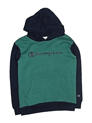 Champion Pullover Hoodie (view 1)