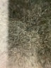 Brooks Brothers 346 Gray Wool Pants Size 4 - photo 8
