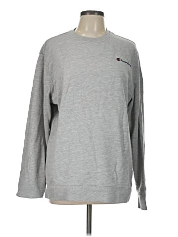 Champion Sweatshirt (view 1)