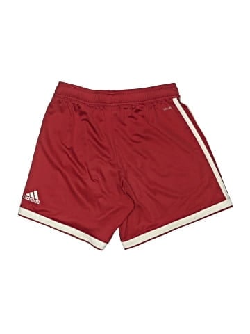 Adidas Athletic Shorts (view 2)