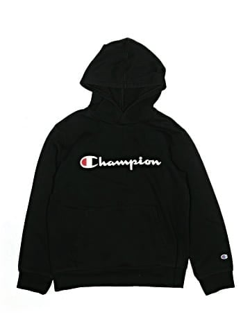 Champion Pullover Hoodie (view 1)