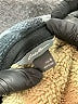 Eddie Bauer 100% Polyester Gray Jacket Size 8 - photo 3
