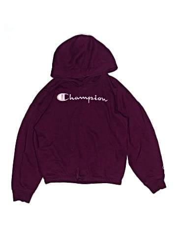 Champion Zip Up Hoodie (view 1)