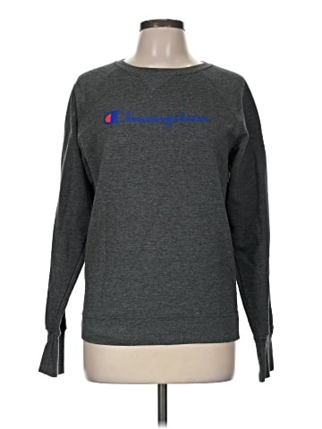 Champion Sweatshirt (view 1)