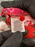 Belle + Sky Red 3/4 Sleeve Blouse Size M - photo 8
