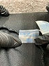 L.A. Blues Black Track Pants Size 18 - photo 4