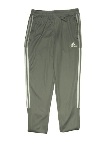 Adidas Track Pants (view 1)